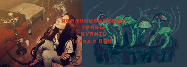 гашик Заволжск