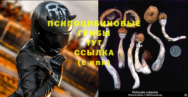 прущая мука Заводоуковск