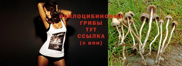 прущая мука Заводоуковск