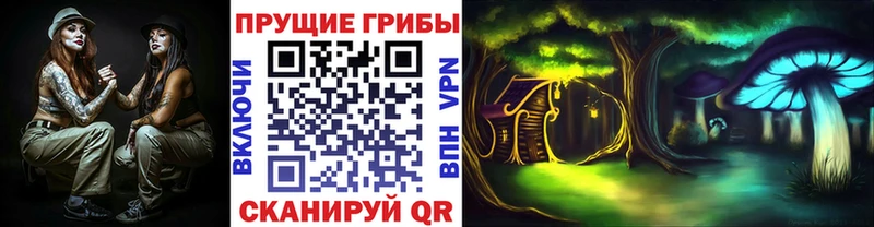Галлюциногенные грибы Psilocybine cubensis  omg маркетплейс  Мамадыш 